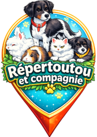 repertoutou